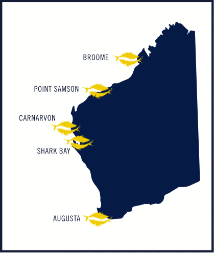 Sweetlips Fish Map Sweetlips Fish Map