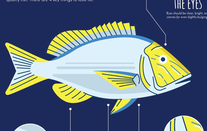 sweetlips_1607_factsheet