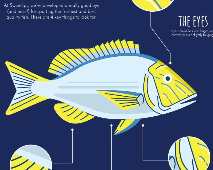 sweetlips_1607_factsheet